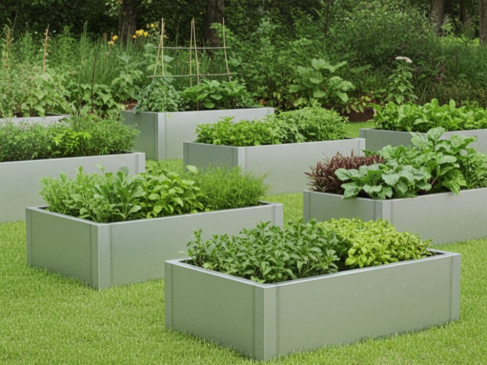 Galvaniserede højbede i ens design placeret på græs i køkkenhave med frodige grøntsager og urter.