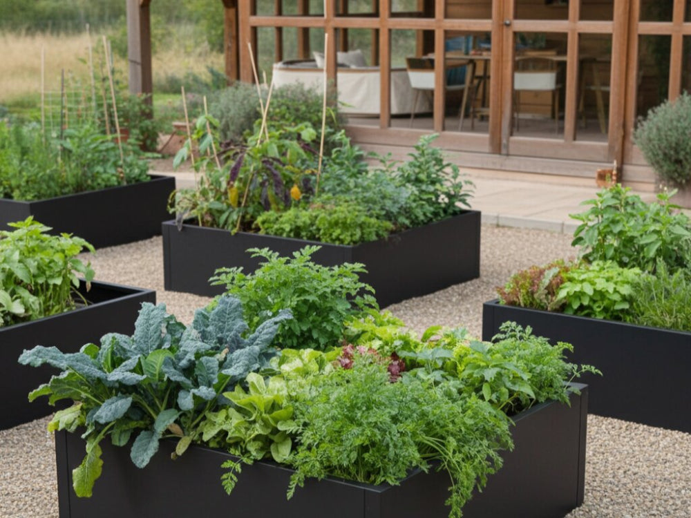 Sorte højbed i stål med grøntsager og krydderurter i køkkenhave ved terrasse