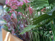 Cortenstål plantekasse CUBY 80 x 40 x 80 cm