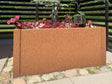 plante-corten
