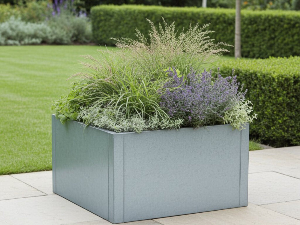 Galvaniseret CUBY plantekasse fyldt med prydgræsser og blomstrende stauder på en terrasse i en velplejet have.
