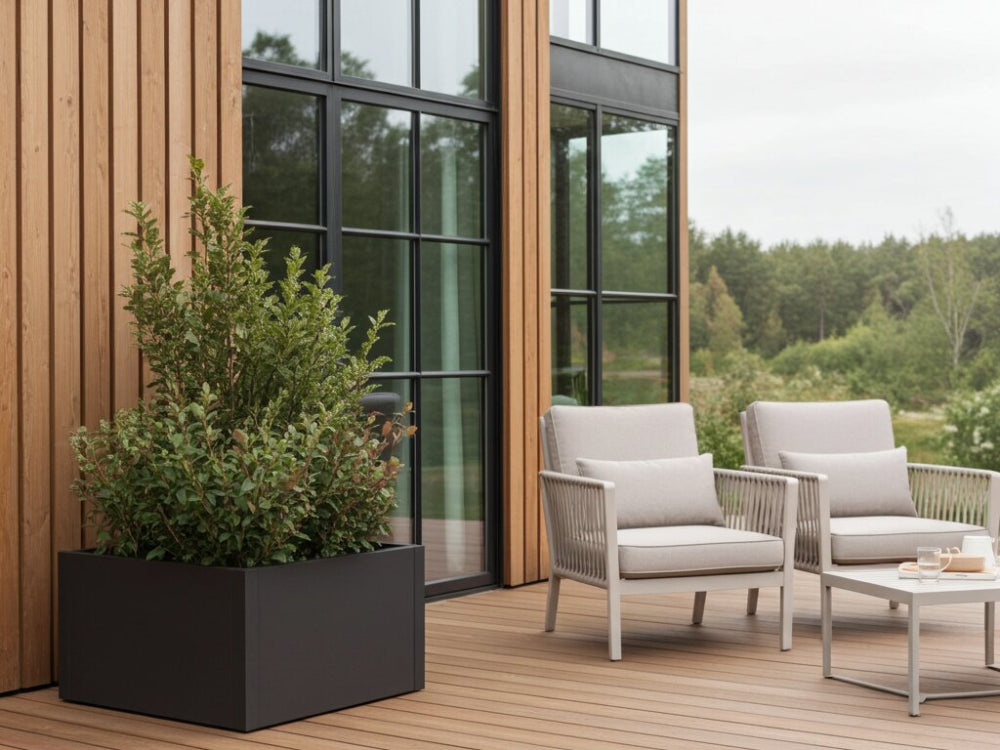 Sort plantekasse i stål med grøn busk placeret ved terrasse med loungehavemøbler