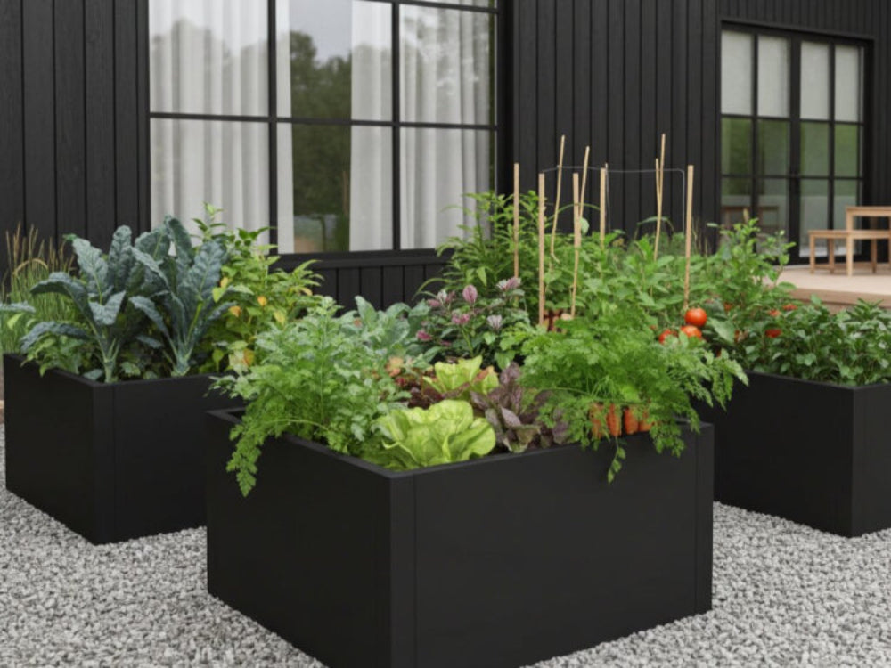 Sortlakeret plantekasse i stål CUBY med krydderurter og grøntsager i haven