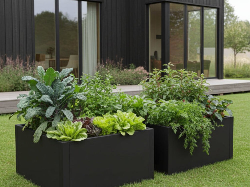 Plantekasse i sortlakeret stål CUBY med grøntsager på terrasse ved sort træhus