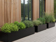 Rektangulære højbed i sortlakeret stål med grøn beplantning ved træfacade