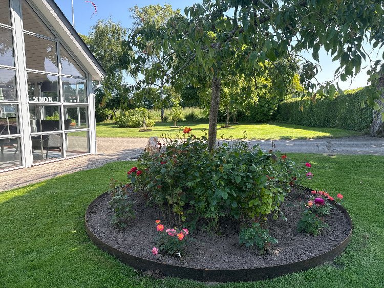 Rund bedring i cortenstål omkring træ og roser i græsplæne