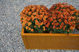 Cortenstål plantekasse CUBY 230 x 40 x 40 cm