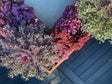 Vinkel plantekasse cortenstål CUBY 40 cm højde - flere længder
